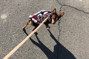 お泊り中☆