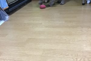 お泊り中☆
