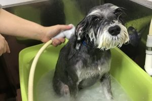 11月のお友達☆