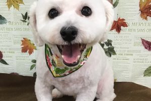 11月のお友達☆