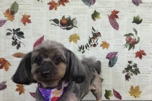 11月のお友達☆