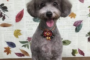11月のお友達☆
