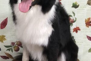 11月のお友達☆