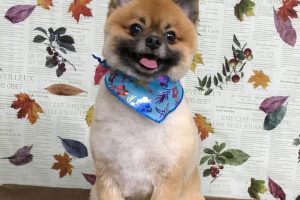 11月のお友達☆