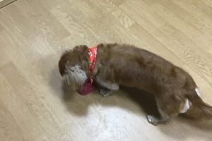 お泊まり中☆