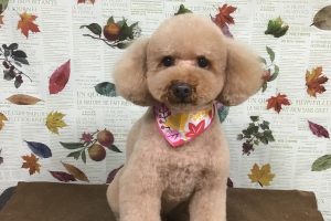 11月のお友達☆