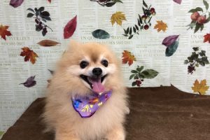 11月のお友達☆