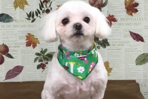11月のお友達☆