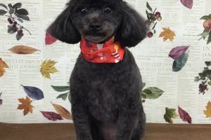 11月のお友達☆
