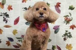 11月のお友達☆