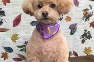 11月のお友達☆