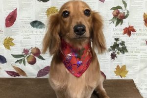 11月のお友達☆
