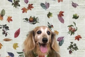 11月のお友達☆