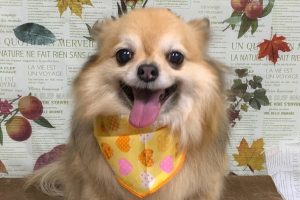 11月のお友達☆