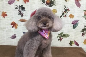 11月のお友達☆