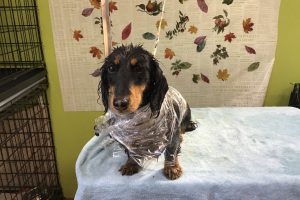 11月のお友達☆