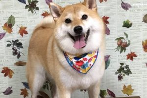 11月のお友達☆