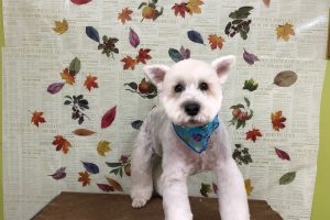 11月のお友達☆