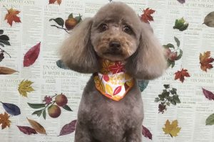 11月のお友達☆