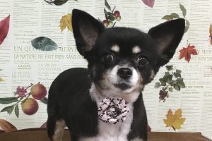 11月のお友達☆