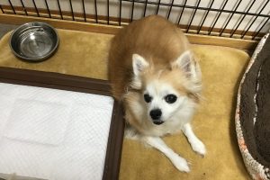 お泊り中☆