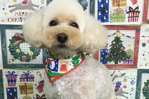 12月のお友達☆