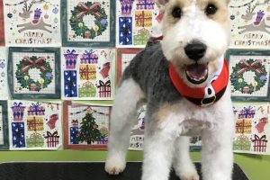 12月のお友達☆