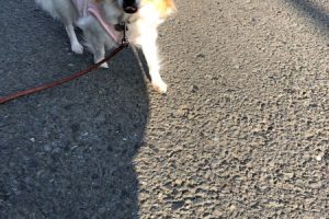 お泊り中☆