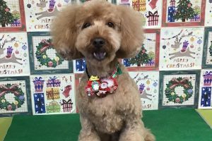 12月のお友達☆
