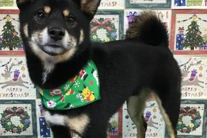 12月のお友達☆