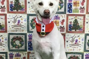 12月のお友達☆