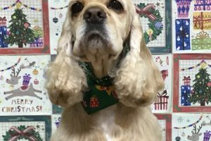 12月のお友達☆