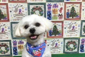 12月のお友達☆