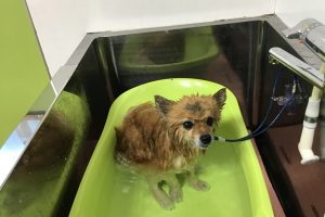12月のお友達☆