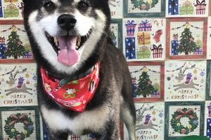 12月のお友達☆
