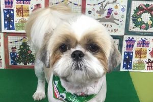 12月のお友達☆