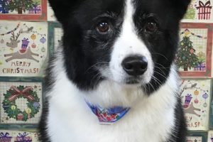 12月のお友達☆