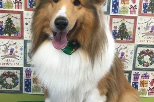 12月のお友達☆