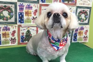 12月のお友達☆