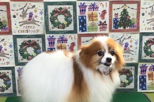 12月のお友達☆