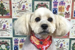 12月のお友達☆