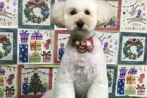 12月のお友達☆