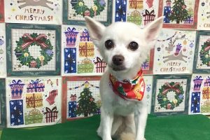 12月のお友達☆