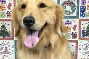 12月のお友達☆