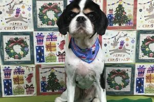 12月のお友達☆