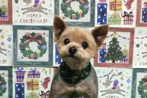 12月のお友達☆
