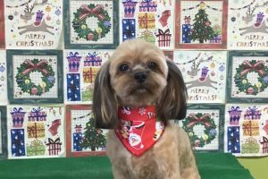 12月のお友達☆