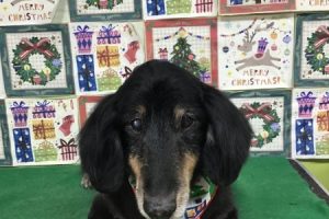 12月のお友達☆