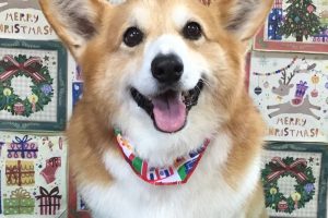12月のお友達☆