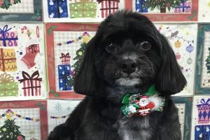 12月のお友達☆